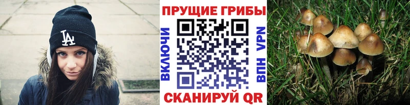 Галлюциногенные грибы MAGIC MUSHROOMS  цены наркотик  гидра ТОР  Владивосток 